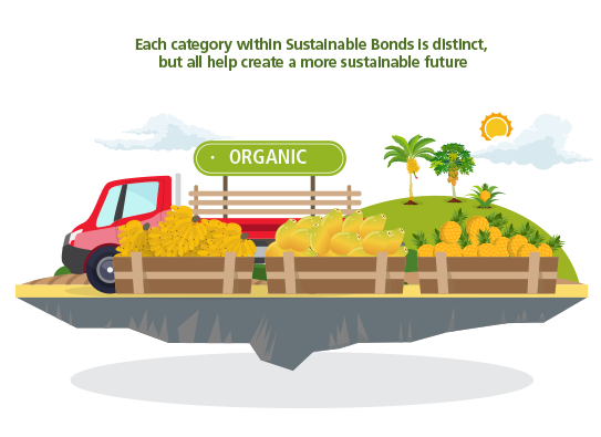 Understanding Sustainable Bonds